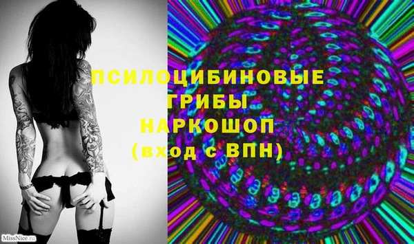 эйфоретик Новодвинск