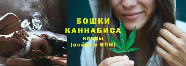 ПСИЛОЦИБИНОВЫЕ ГРИБЫ Новокубанск
