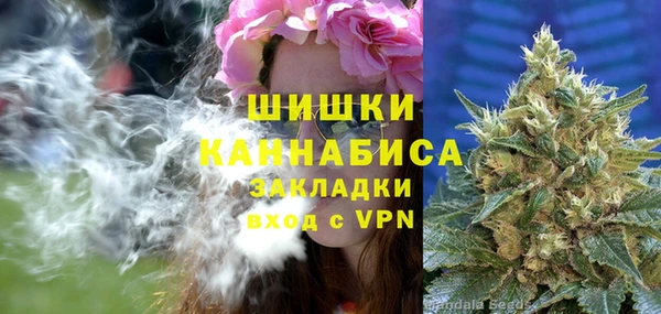 спайс Баксан