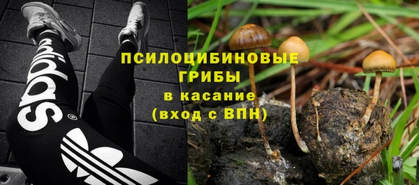 эйфоретик Новодвинск