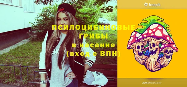 эйфоретик Новодвинск