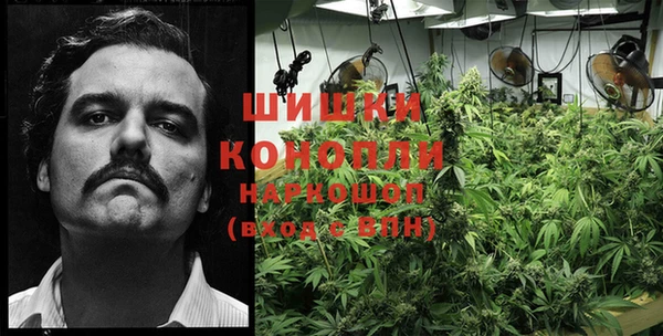 эйфоретик Новодвинск