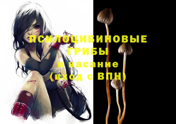 ПСИЛОЦИБИНОВЫЕ ГРИБЫ Новокубанск