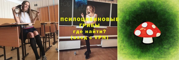 эйфоретик Новодвинск
