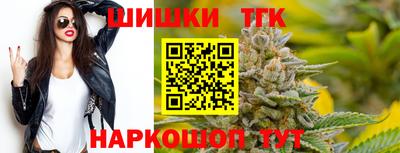 СК Гагарин
