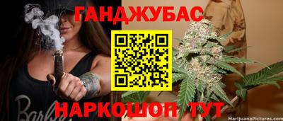 Альфа ПВП Гатчина