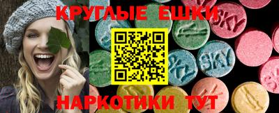 СК Гагарин