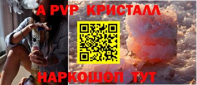 СК Гагарин