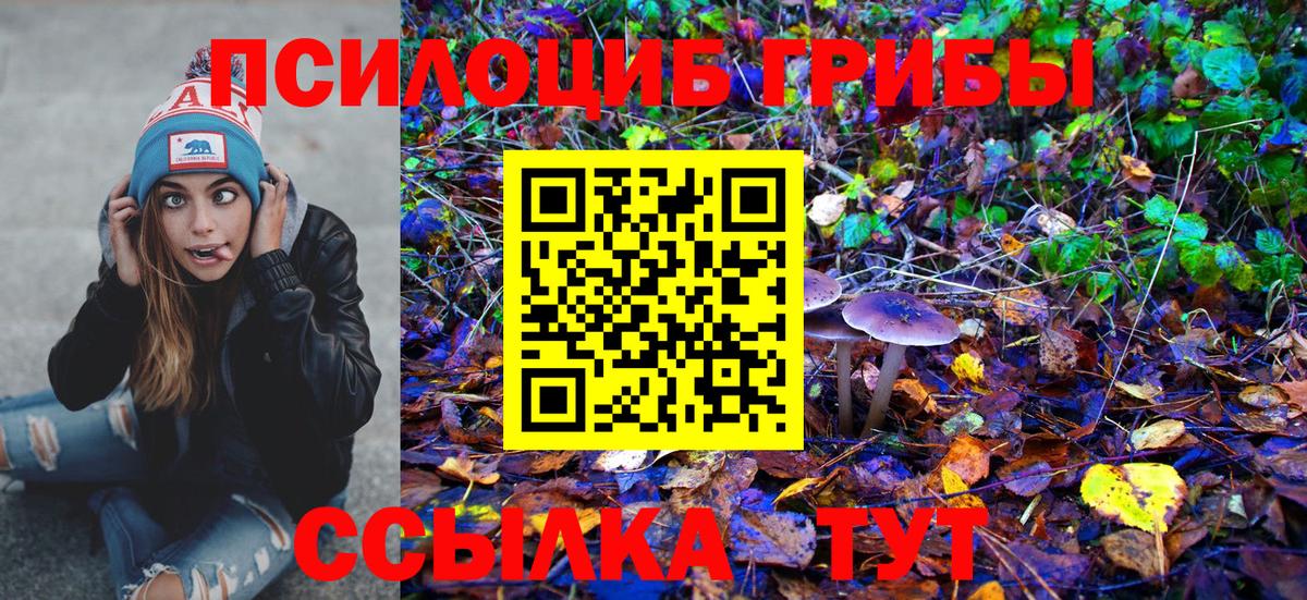 Галлюциногенные грибы прущие грибы  Галлюциногенные грибы Psilocybine cubensis  Домодедово 